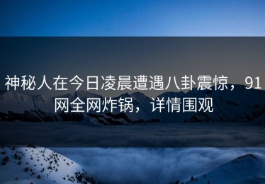 神秘人在今日凌晨遭遇八卦震惊，91网全网炸锅，详情围观