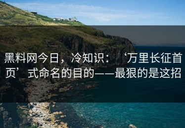 黑料网今日，冷知识：‘万里长征首页’式命名的目的——最狠的是这招