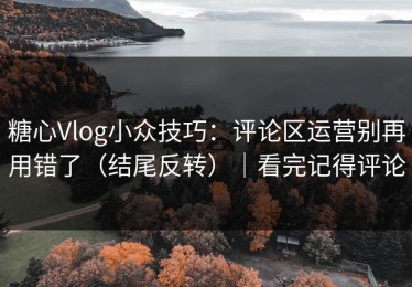 糖心Vlog小众技巧：评论区运营别再用错了（结尾反转）｜看完记得评论