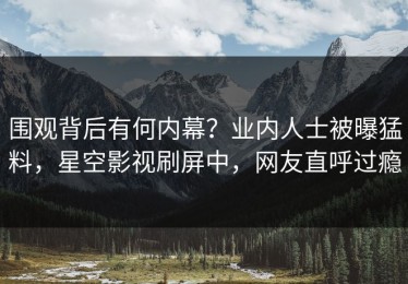 围观背后有何内幕？业内人士被曝猛料，星空影视刷屏中，网友直呼过瘾