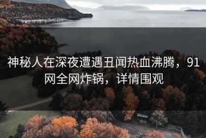 神秘人在深夜遭遇丑闻热血沸腾，91网全网炸锅，详情围观