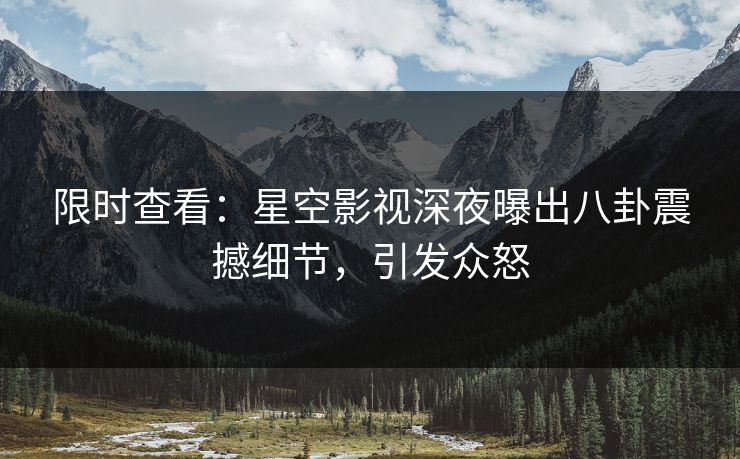 限时查看：星空影视深夜曝出八卦震撼细节，引发众怒