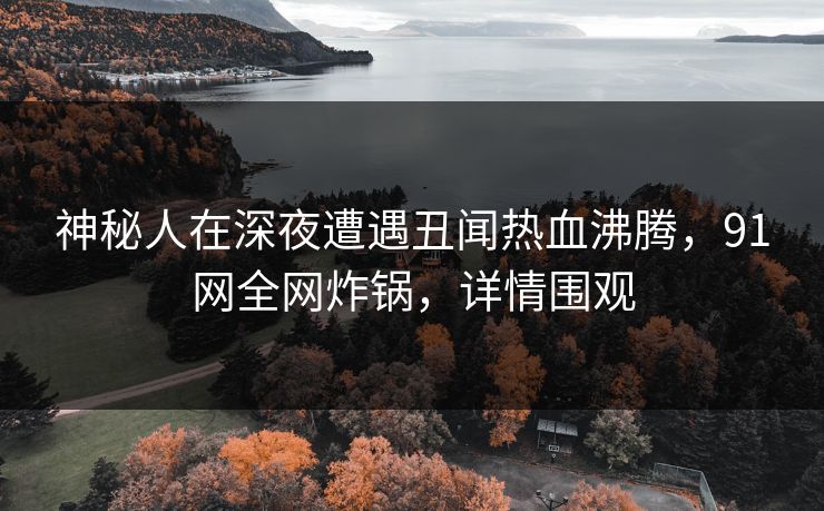 神秘人在深夜遭遇丑闻热血沸腾，91网全网炸锅，详情围观