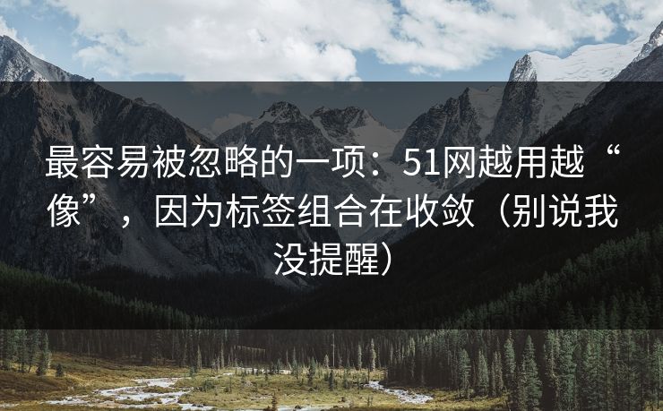最容易被忽略的一项：51网越用越“像”，因为标签组合在收敛（别说我没提醒）