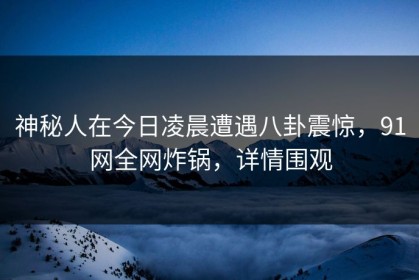 神秘人在今日凌晨遭遇八卦震惊，91网全网炸锅，详情围观