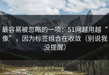 最容易被忽略的一项：51网越用越“像”，因为标签组合在收敛（别说我没提醒）