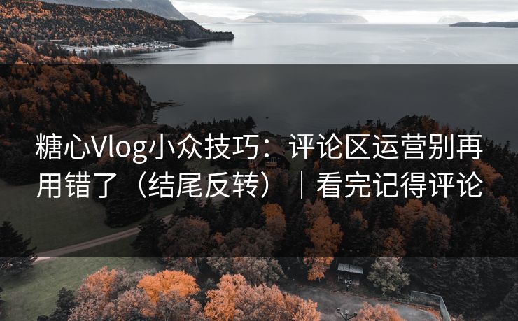 糖心Vlog小众技巧：评论区运营别再用错了（结尾反转）｜看完记得评论